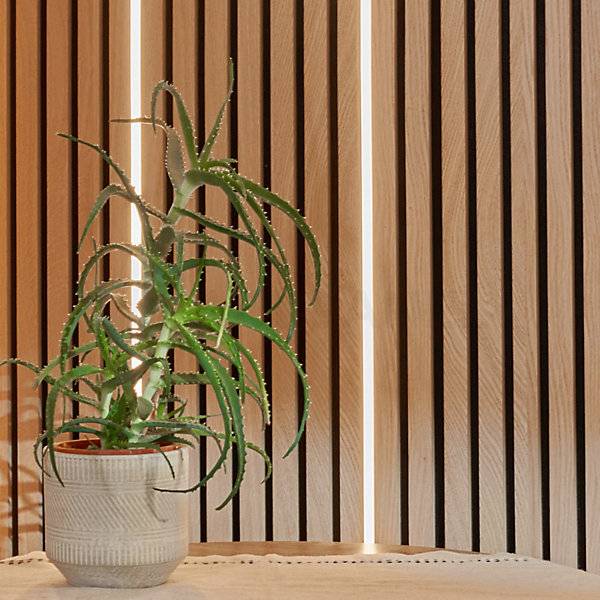 Natural oak wood slatted wall panel with integrated LED strip lighting set in white, designed for acoustic wall applications by AWS.